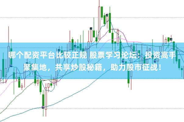 哪个配资平台比较正规 股票学习论坛：投资高手聚集地，共享炒股秘籍，助力股市征战！