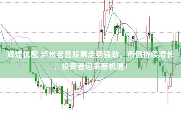 辉煌优配 泸州老窖股票走势强劲，市值持续增长，投资者迎来新机遇！