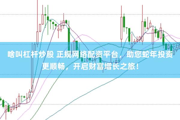 啥叫杠杆炒股 正规网络配资平台，助您蛇年投资更顺畅，开启财富增长之旅！