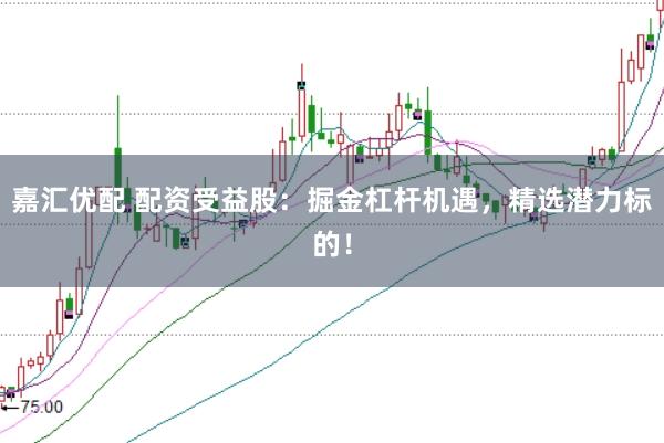 嘉汇优配 配资受益股：掘金杠杆机遇，精选潜力标的！