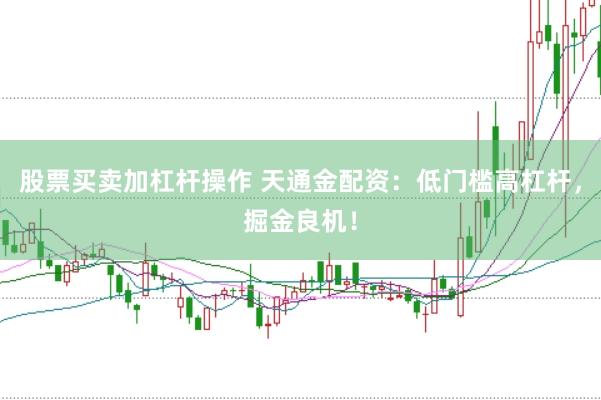 股票买卖加杠杆操作 天通金配资：低门槛高杠杆，掘金良机！
