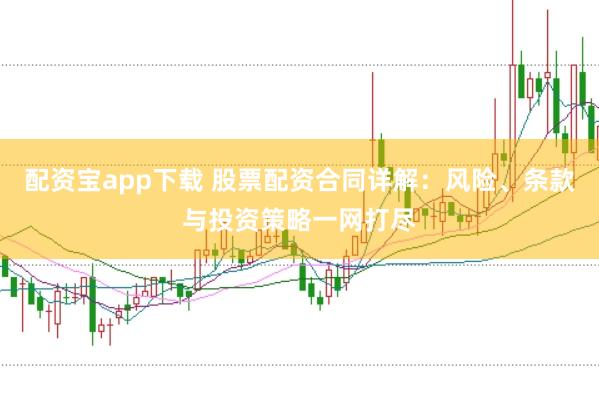 配资宝app下载 股票配资合同详解：风险、条款与投资策略一网打尽