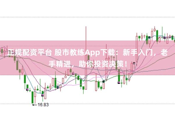 正规配资平台 股市教练App下载：新手入门，老手精进，助你投资决策！