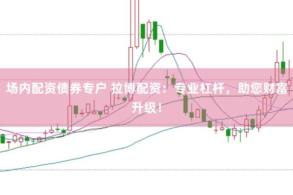 场内配资债券专户 拉博配资：专业杠杆，助您财富升级！