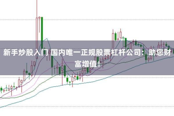 新手炒股入门 国内唯一正规股票杠杆公司：助您财富增值！