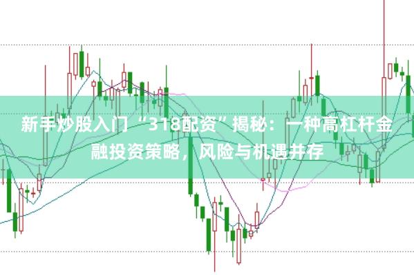 新手炒股入门 “318配资”揭秘：一种高杠杆金融投资策略，风险与机遇并存