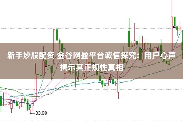 新手炒股配资 金谷网盈平台诚信探究：用户心声揭示其正规性真相