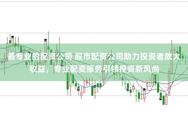 最专业的配资公司 股市配资公司助力投资者放大收益，专业配资服务引领投资新风尚