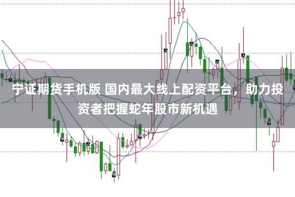 宁证期货手机版 国内最大线上配资平台，助力投资者把握蛇年股市新机遇