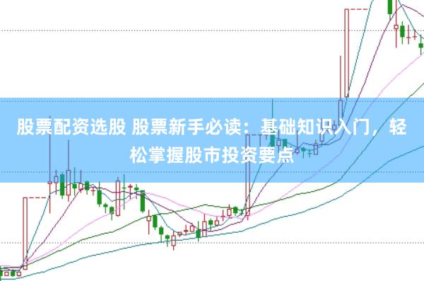 股票配资选股 股票新手必读：基础知识入门，轻松掌握股市投资要点