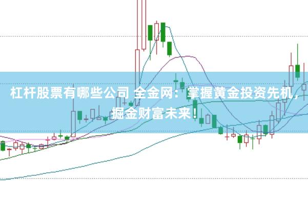 杠杆股票有哪些公司 全金网:掌握黄金投资先机,掘金财富未来!