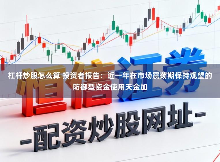 杠杆炒股怎么算 投资者报告：近一年在市场震荡期保持观望的防御型资金使用天金加