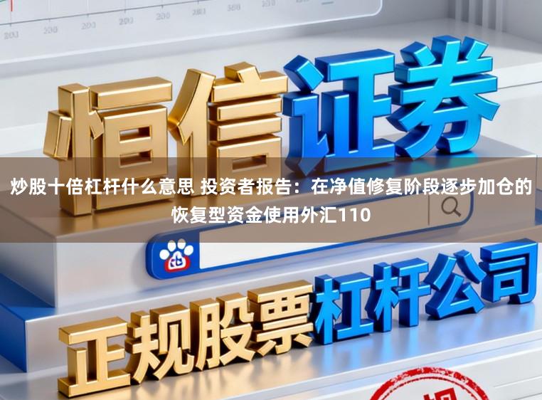 炒股十倍杠杆什么意思 投资者报告：在净值修复阶段逐步加仓的恢复型资金使用外汇110