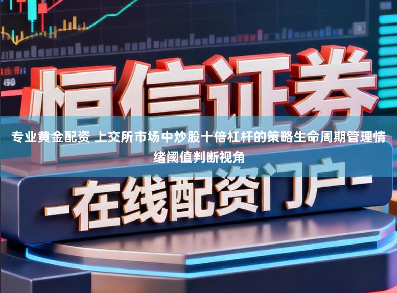 专业黄金配资 上交所市场中炒股十倍杠杆的策略生命周期管理情绪阈值判断视角