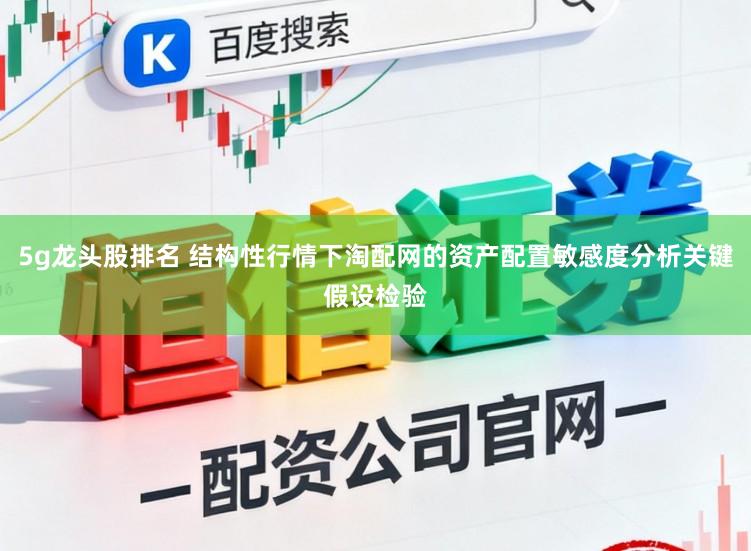 5g龙头股排名 结构性行情下淘配网的资产配置敏感度分析关键假设检验