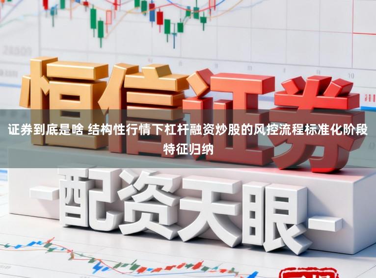证券到底是啥 结构性行情下杠杆融资炒股的风控流程标准化阶段特征归纳