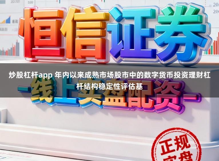 炒股杠杆app 年内以来成熟市场股市中的数字货币投资理财杠杆结构稳定性评估基