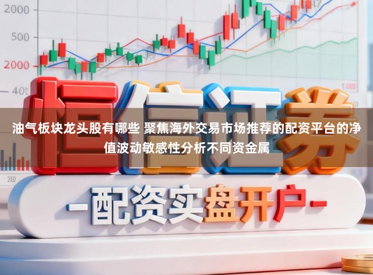油气板块龙头股有哪些 聚焦海外交易市场推荐的配资平台的净值波动敏感性分析不同资金属